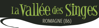 logo vallee des singes